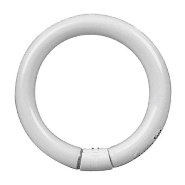 Sylvania Lighting 20W Fluorescent T9 Circline 6in Diameter Lamp Sylvania Lighting 20W Fluorescent T9 Circline 6in Diameter Lamp