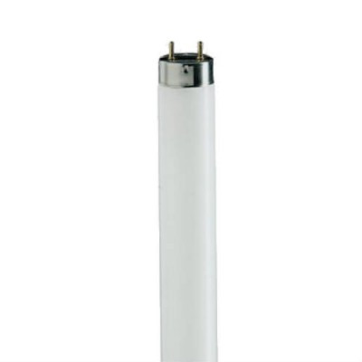 Sylvania 22143 FO32/850/ECO 32W 5000K Daylight T8 Fluorescent