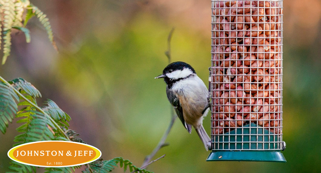 undefined Brand Image