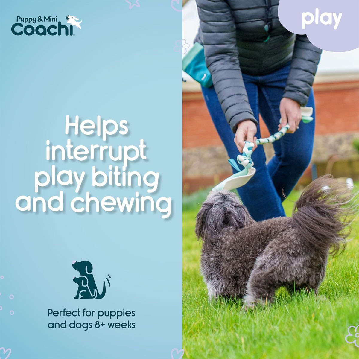 Coachi Puppy & Mini Tuggi Tug Dog Toy | Charlies