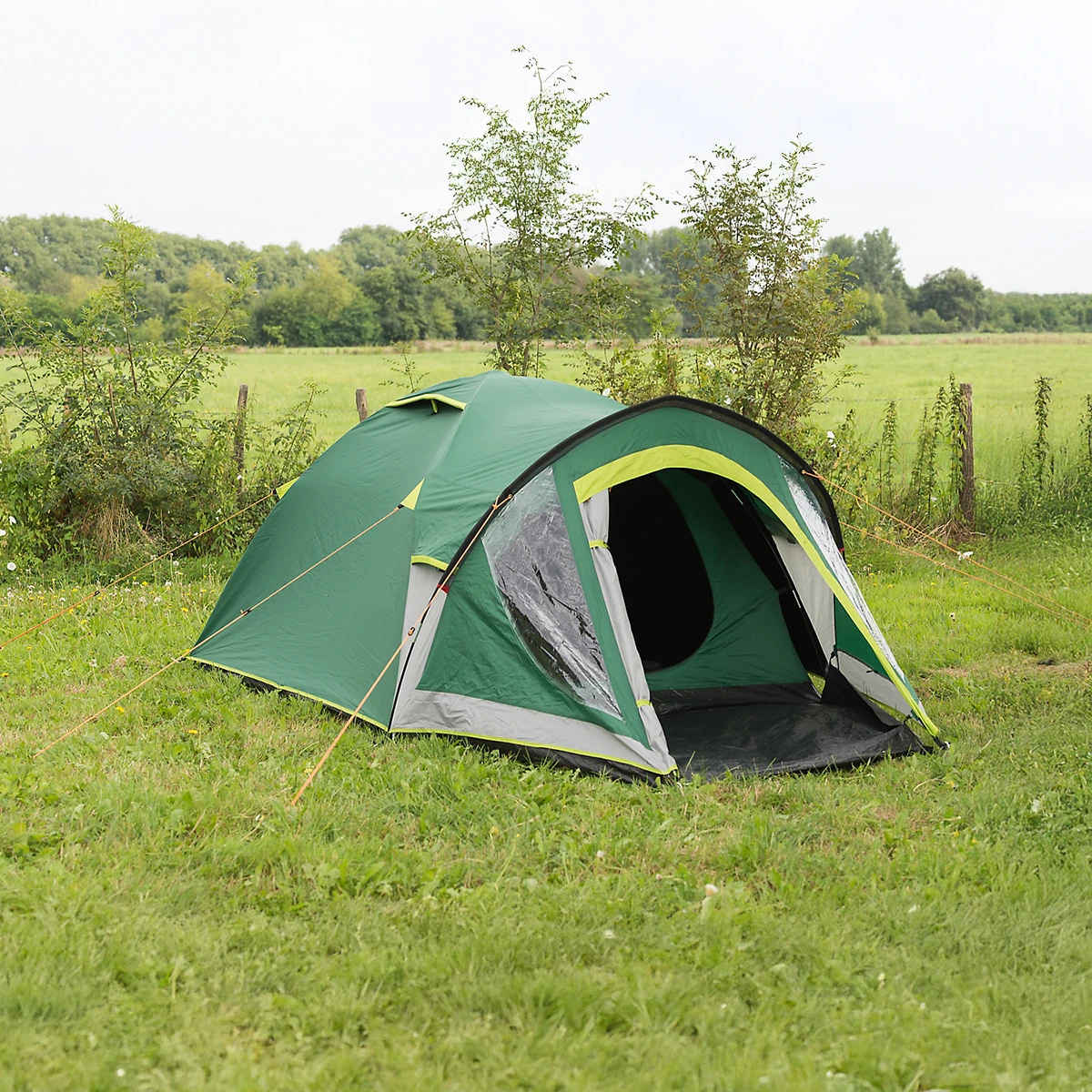 テント・タープ Coleman Kobuk Valley 4 plus Coleman Kobuk Valley 4 Plus BlackOut 4 Man Tent | Charlies