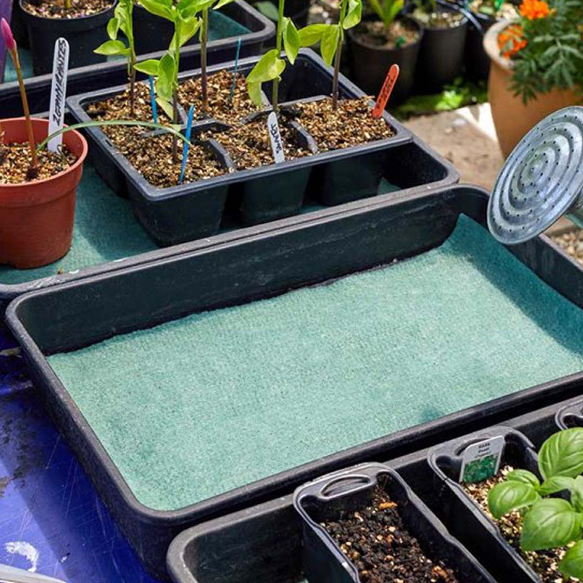 Smart Garden Moisture Matting Charlies