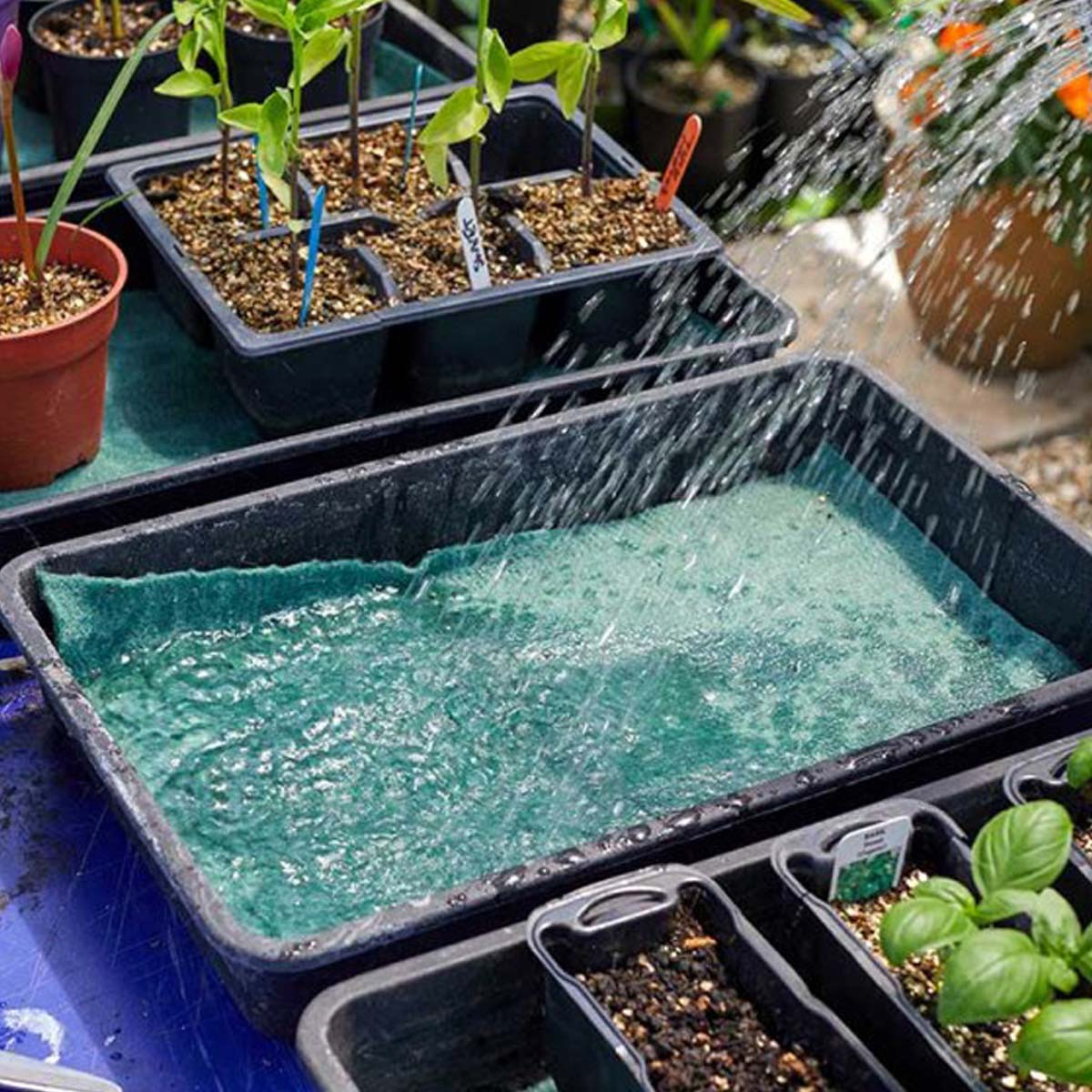 Smart Garden Moisture Matting Charlies