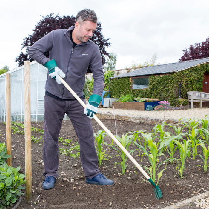 Concord Rake Wilkinson Sword Carbon Steel Garden Rake | Charlies