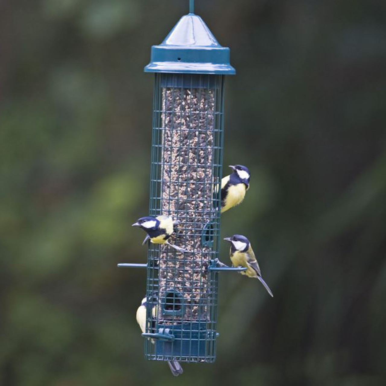 Jacobi Jayne Squirrel Buster Classic Bird Feeder Bird Feeders Bird