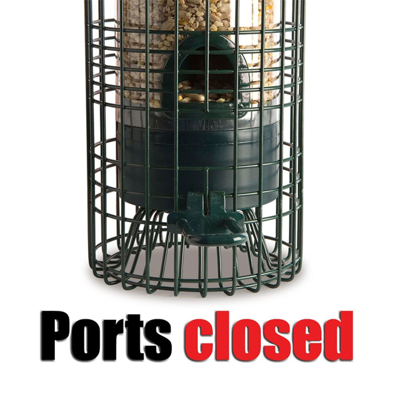 Jacobi Jayne Squirrel Buster Classic Bird Feeder Bird Feeders Bird