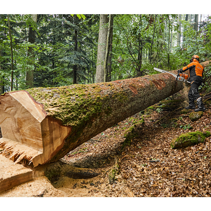 Stihl MS 881 Professional Petrol Chainsaw With 41 Inch Bar | Charlies