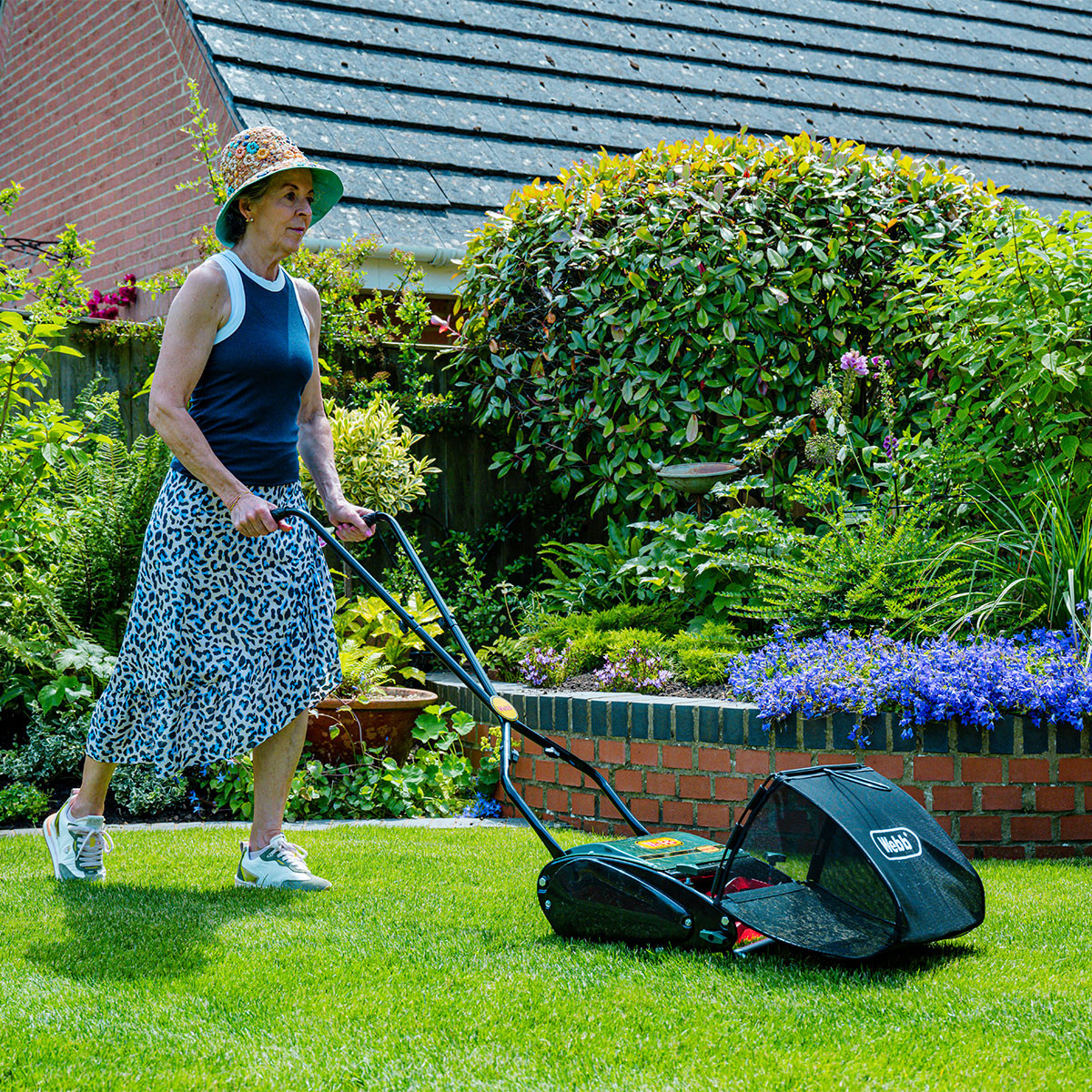 Push Reel Lawn Antique Mower Manual Lawn Craftsman Reel Push Mower