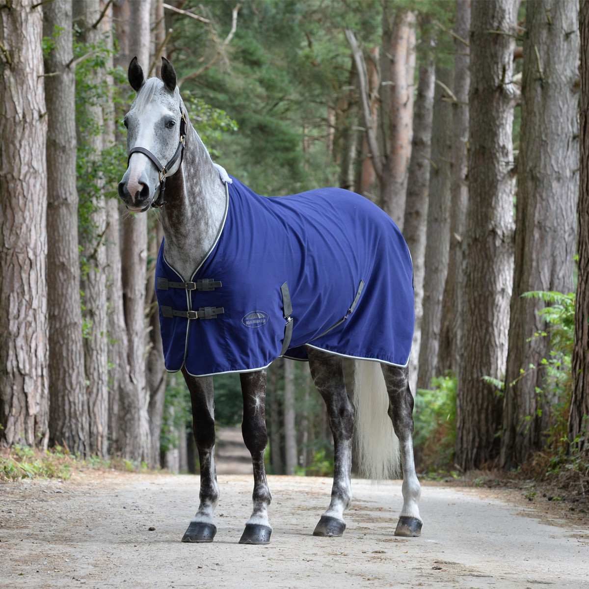 Couverture De Show WeatherBeeta Pour Cheval - Taille Standard, Col Foncé, Coton, Avec Surfaix, Neuve