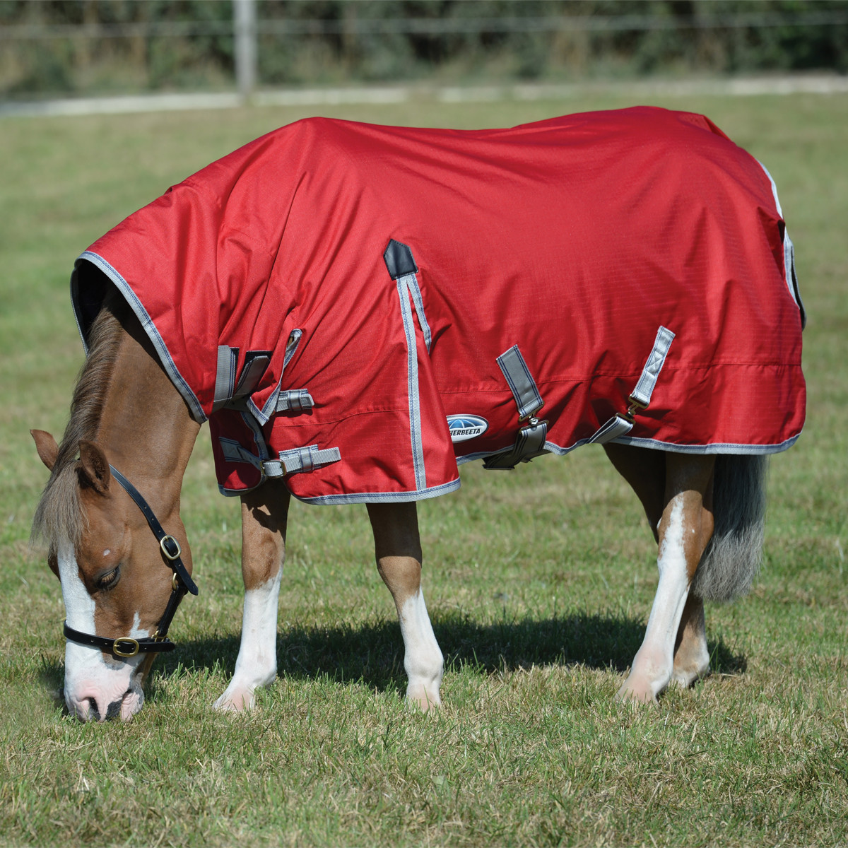 Weatherbeeta Turtle Rug Weatherbeeta ComFiTec Classic Combo Neck Medium/Lite Turnout Rug - Red ...