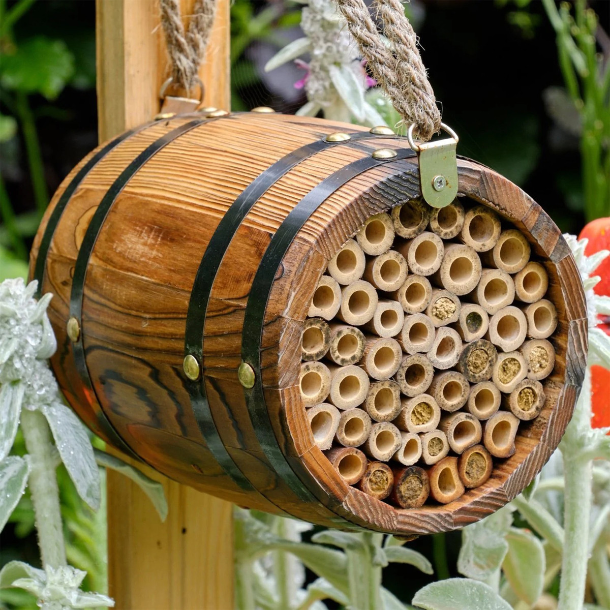 Wildlife World Bee Barrel | Charlies
