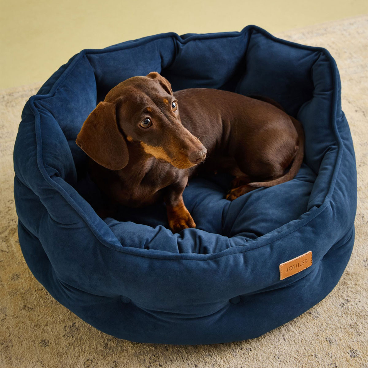 Joules Chesterfield Pet Bed - Navy | Charlies