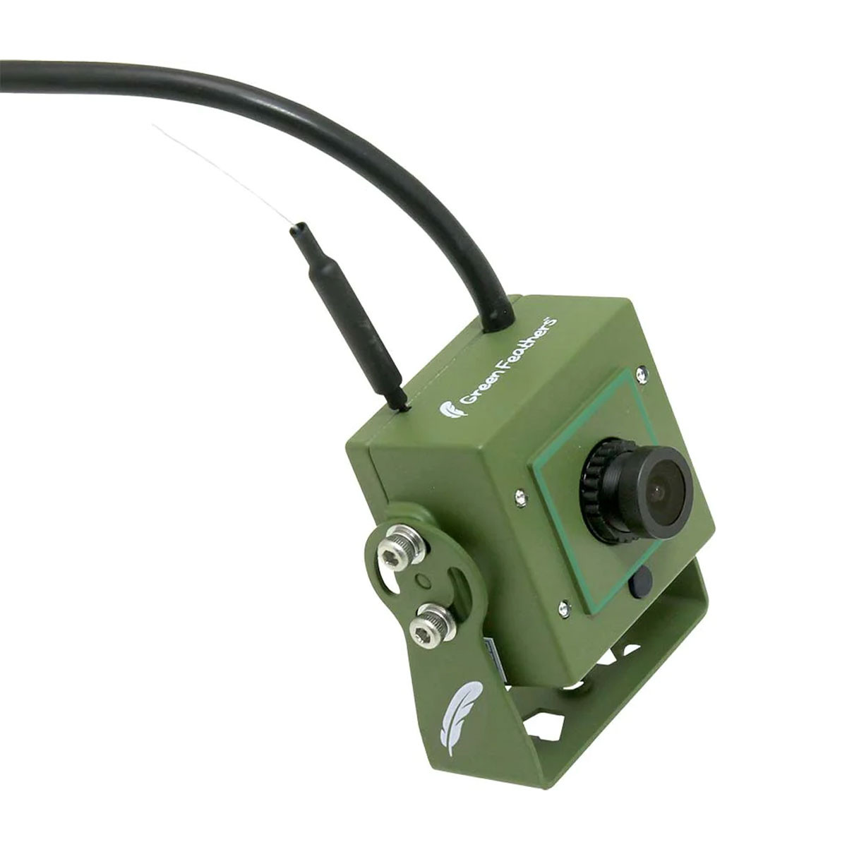 Green Feathers WiFi Bird Box HD Camera Bundle | Charlies