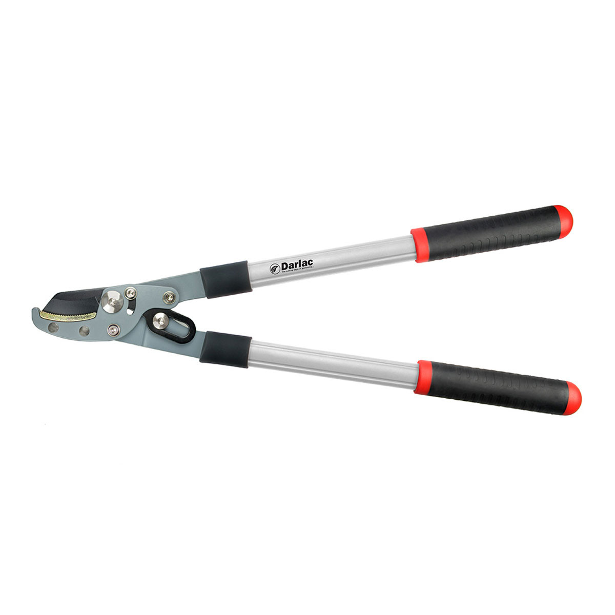 Darlac DP623 Compact Compound Anvil Lopper | Charlies