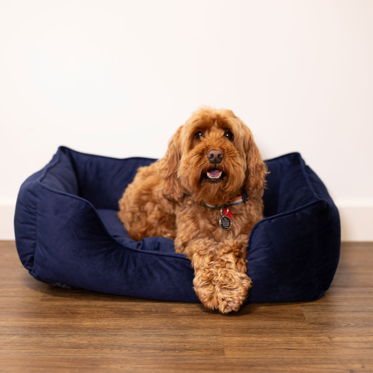 Rosewood Joules „Raining Dogs“ Haustierbett, Größe L – Marineblau, Waschbar, Rutschfeste Unterseite