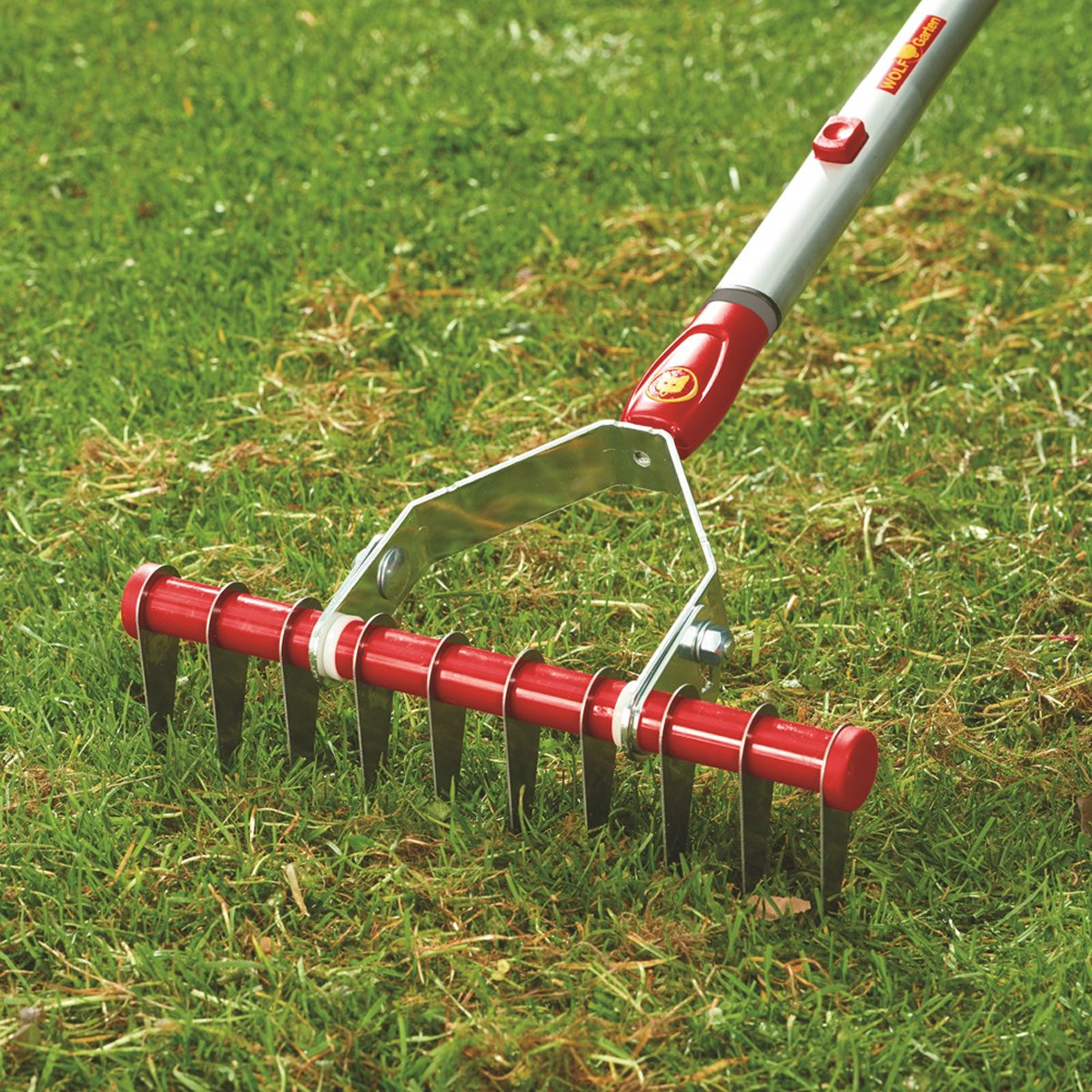 Moss Raker Wolf Garten Multi-Change Moss Removal Rake | Charlies