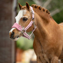 Close-up of a chestnut horse wearing a pink halter, showcasing its expressive eyes and well-groomed coat against a blurred background.