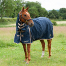A horse stood in a field wearing a navy combo rug.