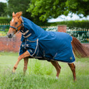 A ginger horse galloping whilst wearing a navy combo rug.