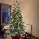 A lush, artificial Christmas tree adorned with twinkling warm white lights positioned with presents in front of it.