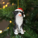 A close up view of a ceramic border collie hanging decoration hanging on a Christmas tree