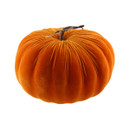 A vibrant orange velvet pumpkin with a textured surface and a slender brown stem, isolated against a white background.