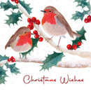 Two illustrated robins on snowy branches with holly leaves and red berries. The text "Christmas Wishes" is written below in red script.
