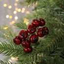 Red apples on evergreen branches with a soft focus background of warm, glowing lights. The scene evokes a festive and cosy holiday atmosphere.