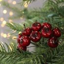 A sprig of red apples nestled in pine branches, surrounded by soft, blurred white lights, creating a festive and cosy holiday ambiance.