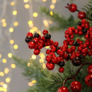 Festive red and black berries with green pine needles are in focus, set against a backdrop of warm, golden bokeh fairy lights, creating a cosy holiday ambiance.