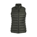A green quilted gilet with horizontal padded stitching and a high collar. The vest features a full-length zipper and the "Weird Fish" logo subtly printed on the chest.