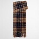 A cosy woollen scarf with a plaid pattern features shades of brown, black, and maroon, ending in fringed tassels. The tone is warm and inviting.
