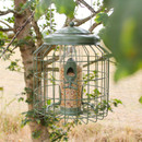 A green metal bird feeder hangs from a tree branch, filled with seeds. The rustic scene conveys a sense of tranquillity and nature's charm.