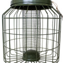 Green metal bird feeder with a cylindrical mesh centre and protective outer cage. Designed to hold seeds while preventing larger birds from accessing them. Green metal bird feeder with a cylindrical mesh centre and protective outer cage. Designed to hold seeds while preventing larger birds from accessing them.