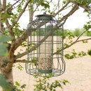 Hanging bird feeder with wire cage filled with seeds, attached to a tree branch. Leaves in foreground, open sky and landscape in background. Peaceful setting.