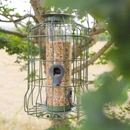 A green wire bird feeder hangs from a tree, filled with mixed seeds. Leaves partially frame the view, suggesting a peaceful outdoor setting.