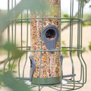 Close-up of a bird feeder filled with mixed seeds, encased in a metal cage. Sunlit leaves in the background create a natural, serene atmosphere.