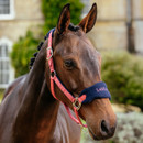 Close-up of a bay horse wearing a bright coral pink headcollar with a navy fleece noseband embroidered with the LeMieux logo in pink, standing outdoors with a blurred background of a large building and greenery.