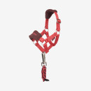 A red miniature horse headcollar with soft brown fleece padding on the noseband and crown, silver metal buckles, and an attached red-and-black twisted lead rope with a silver clip, displayed against a white background.