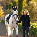 Woman walking a white horse along a sunlit path, both dressed in matching navy and red riding gear, with the horse wearing a navy ear bonnet and red leg wraps, and the rider in a navy zip-up jacket, red top, black riding tights, and tall black boots.