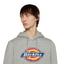 Person in a grey hoodie with the Dickies logo gazing to the right. The background is plain white, conveying a casual and relaxed tone.