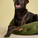 Close-up of Labrador resting paws on the Joules Chesterfield dog bed in green.