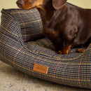 Close-up of a dachshund sitting in a Joules Henson check dog bed with leather Joules label.