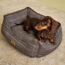 Dachshund resting in a Joules Henson check box bed on a neutral rug.