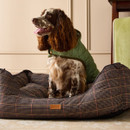 Brown and white spaniel sitting upright in a Joules Henson check dog bed.