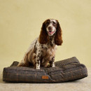 Springer Spaniel sitting on Joules Henson check rectangular dog mattress