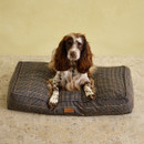 Springer Spaniel sitting on Joules Henson check dog mattress with classic heritage pattern