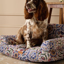 Spaniel sitting upright on a Joules floral dog sofa bed next to a wooden side table.