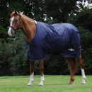 A chestnut horse stands on grass, wearing a navy blue horse blanket labelled "Saxon." It is set against a backdrop of green trees, conveying a calm scene.