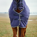 Horse wearing a blue blanket with buckles stands on a grassy field. The focus is on the secured blanket, conveying a sense of protection and warmth.